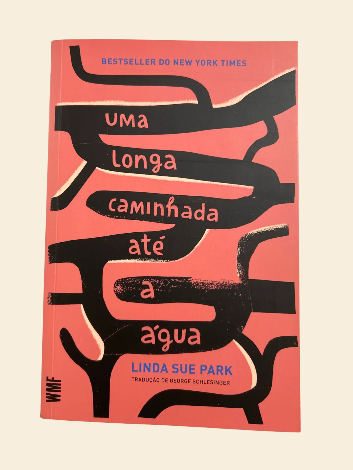 Uma longa caminhada até a água